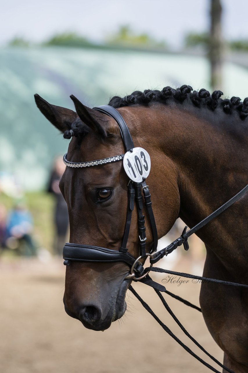 Bild 372 - Pony Akademie Turnier